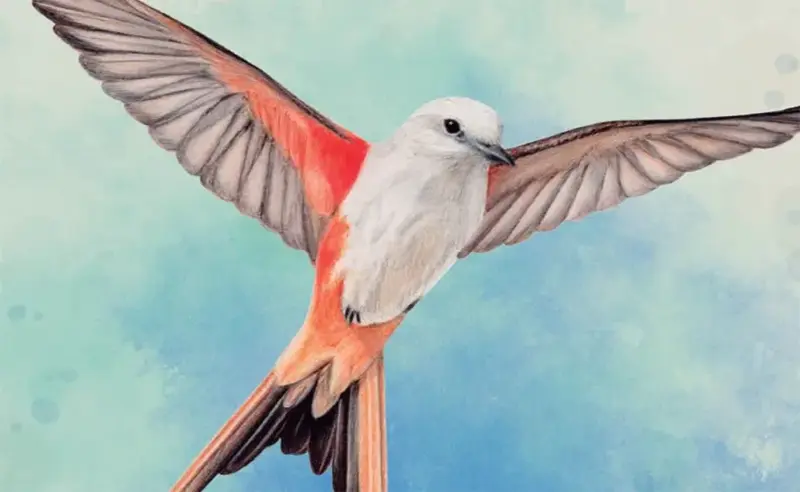 بازی wingspan