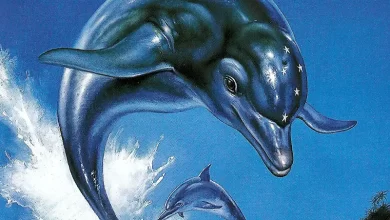 Ecco the Dolphin Reboot بازی