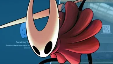 Hollow Knight Silksong causes server chaos بازی مشکل سرور