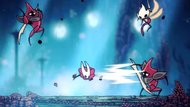 Hollow Knight Silksong پچ جدید