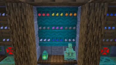 ماینکرافت دوره مس