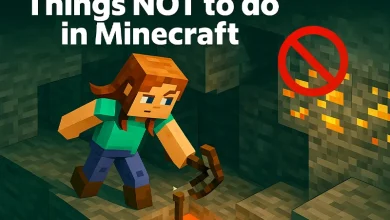 Things not to do in mine craft part-4 نباید انجام داد