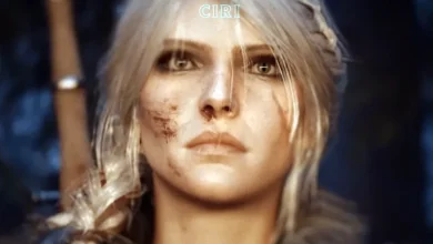 ویچر اشتباه داستان